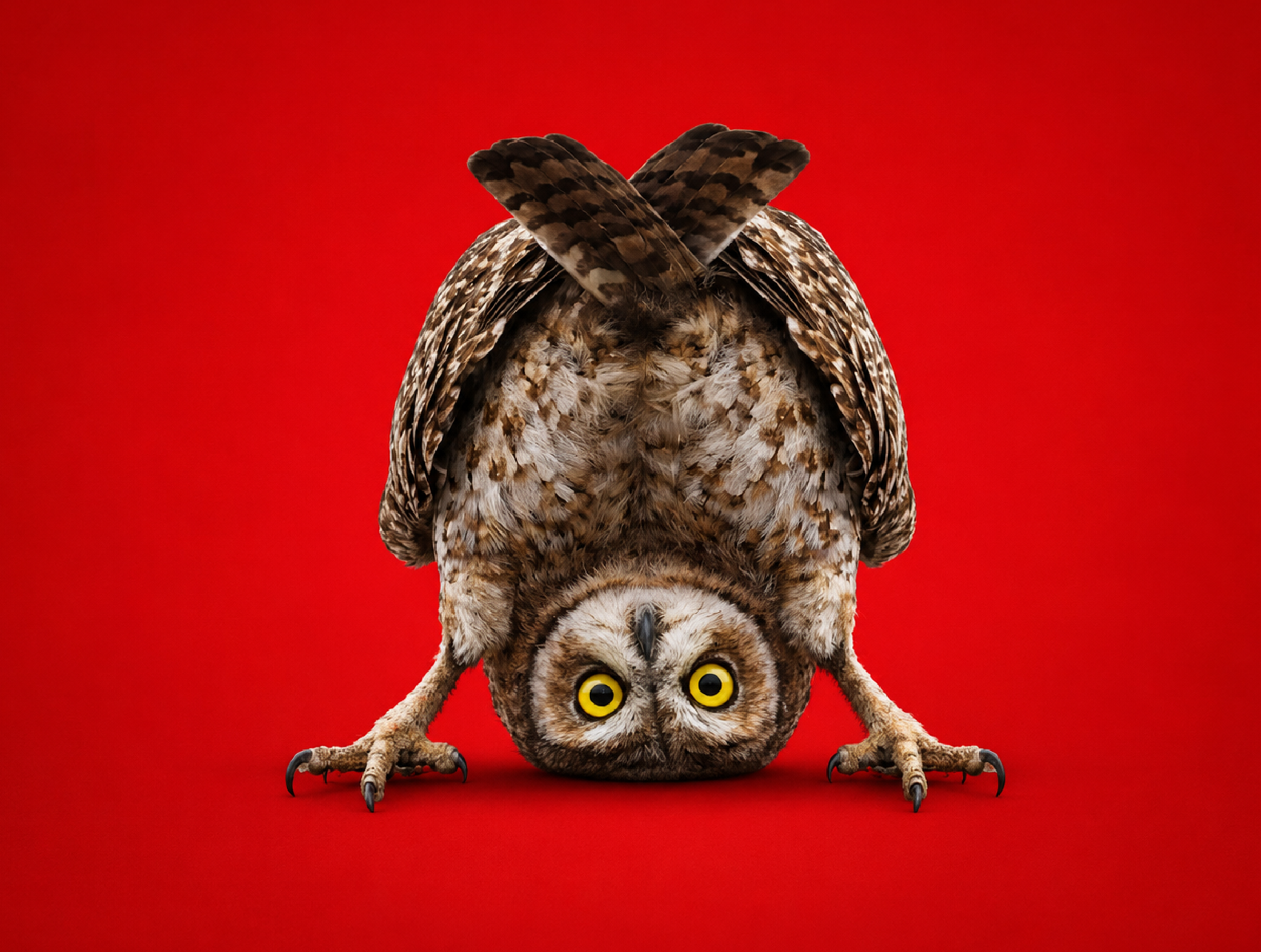service banner