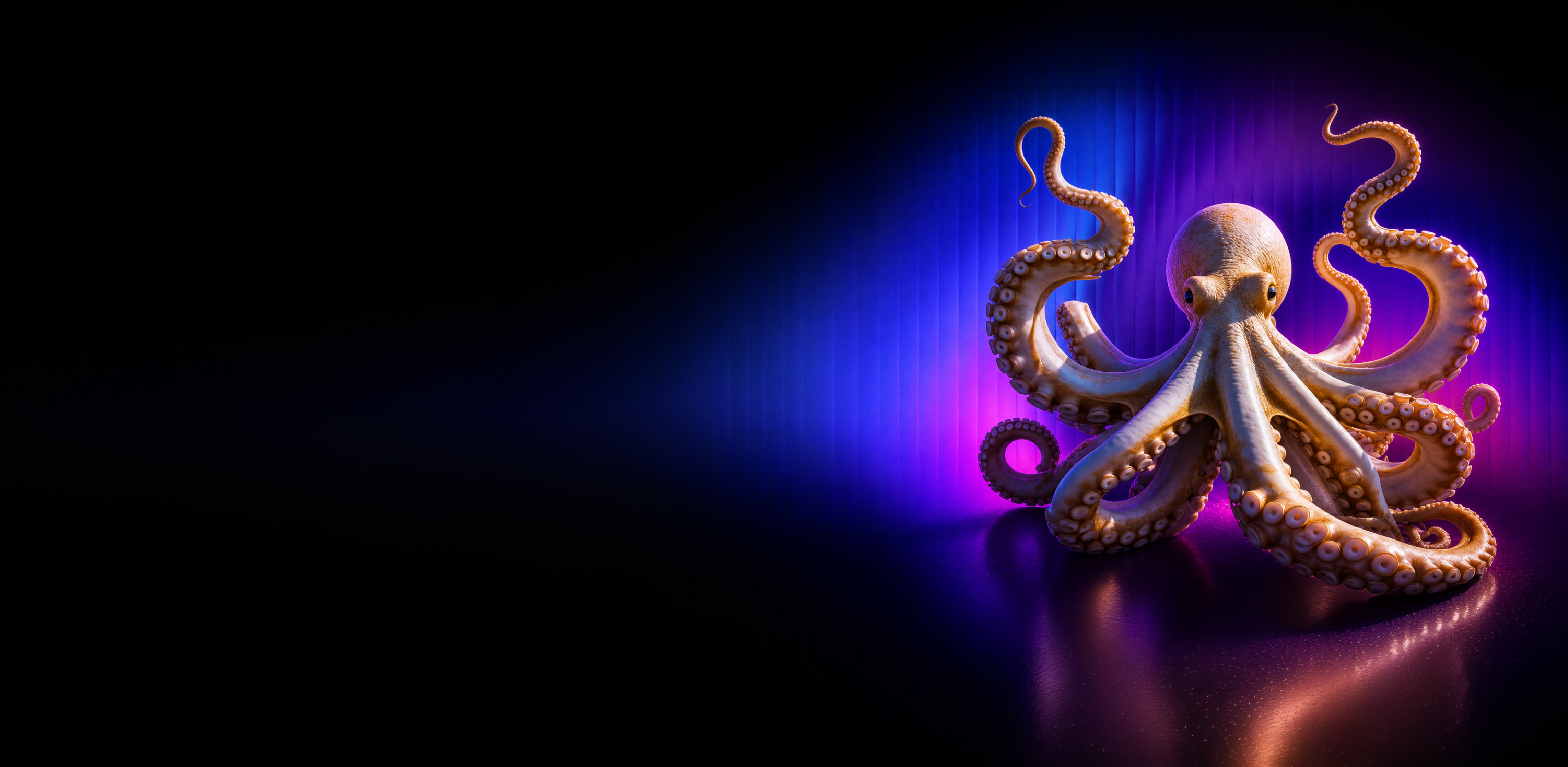 service banner